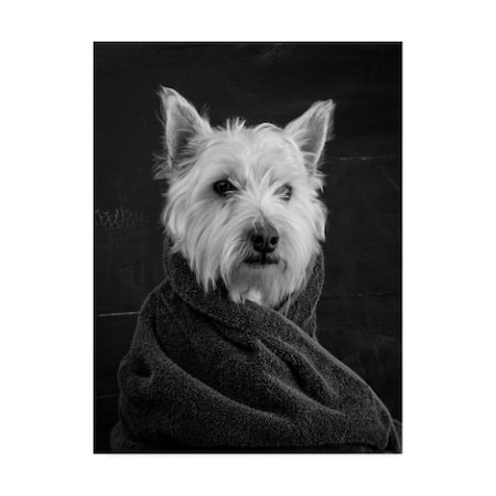 Edward M. Fielding 'Portrait Of A Westy Dog' Canvas Art,14x19